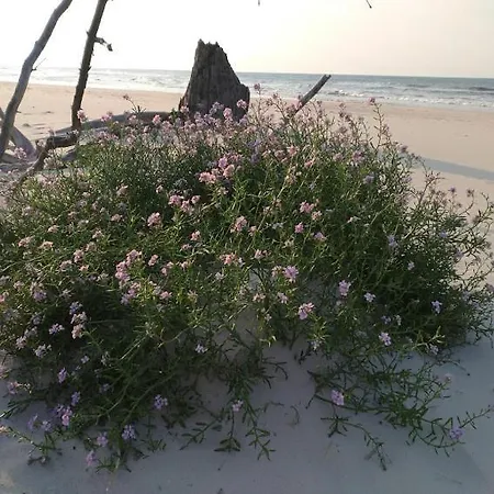 بيت للعطل Z Klimatem Caloroczny سموودجينسكي لاس