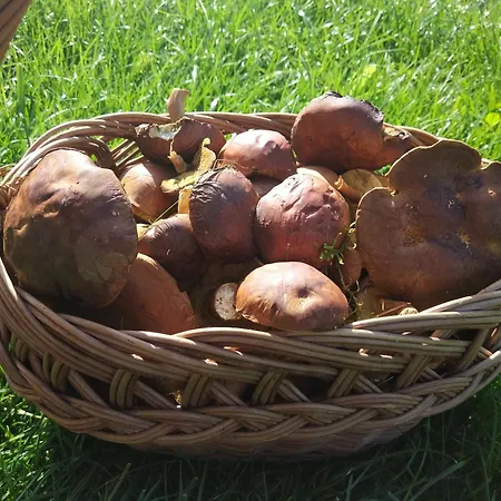 Z Klimatem Caloroczny بيت للعطل سموودجينسكي لاس
