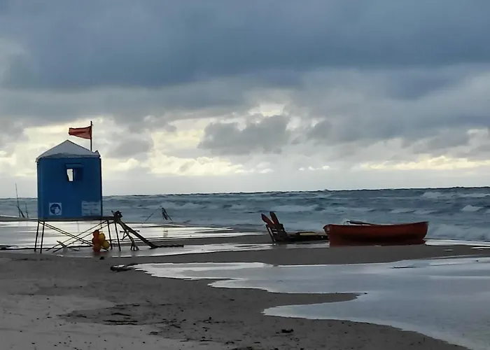 Z Klimatem Całoroczny Smoldzinski Las